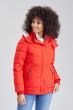 Dame vinter jakke model Neko - Rød